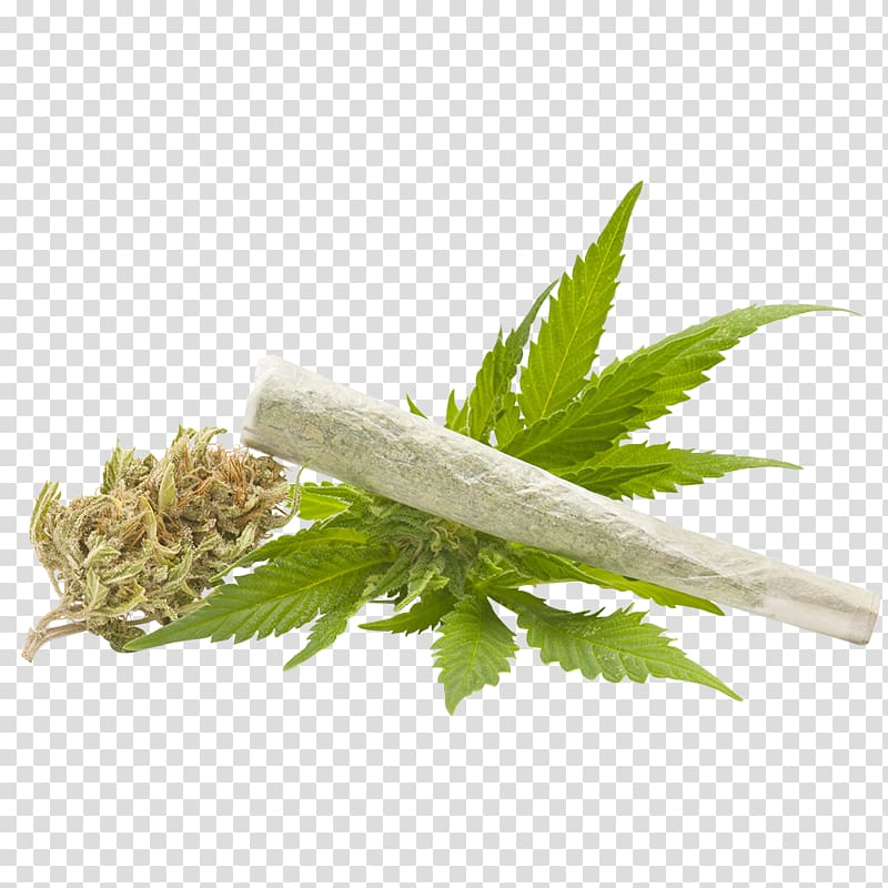 Medical cannabis Cannabidiol Cannabis smoking Crime, Green herbs transparent background PNG clipart