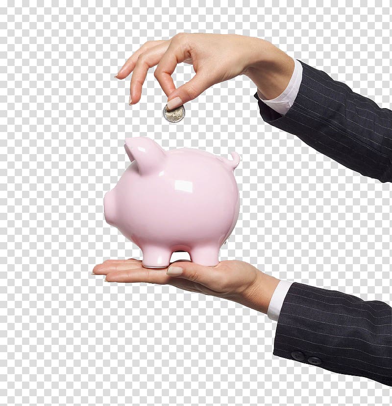 Tax Health savings account Employee benefits Payment, Cute piggy bank transparent background PNG clipart