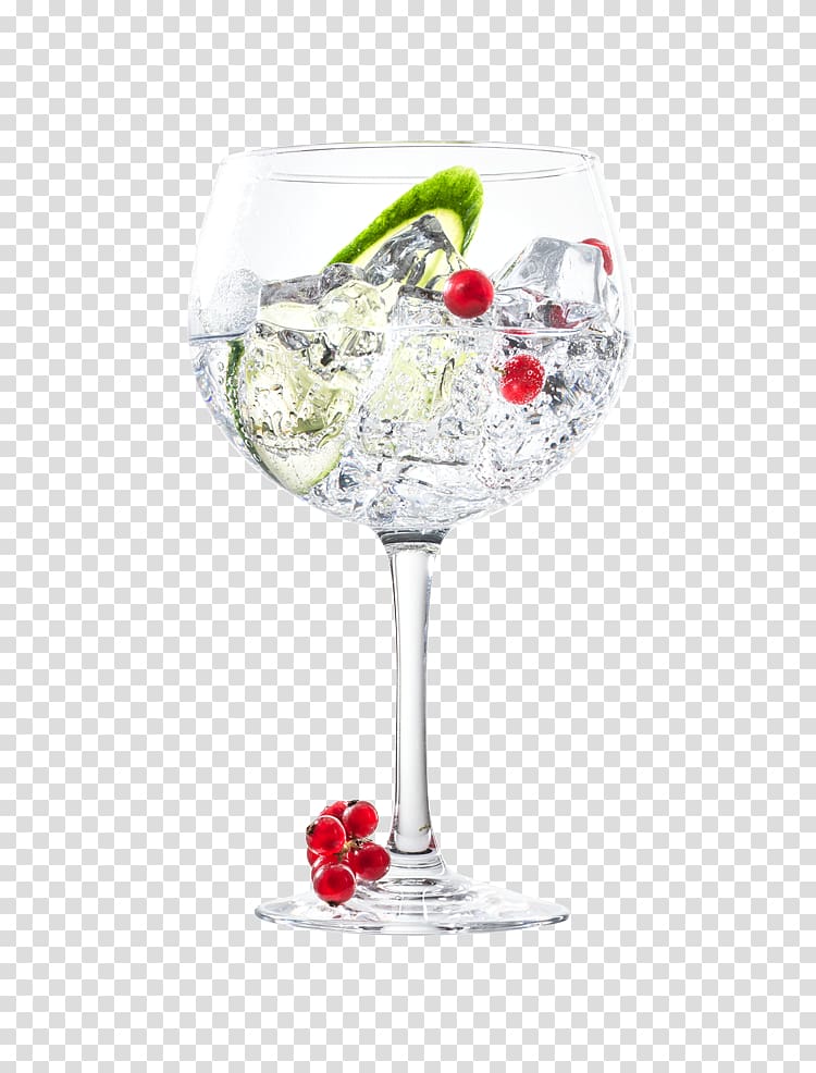 clear wine glass illustration, Gin and tonic Cocktail garnish Martini, hand-painted fresh spices transparent background PNG clipart