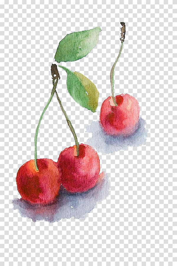 Clafoutis Watercolor painting Cherry Drawing, Watercolor cherry transparent background PNG clipart