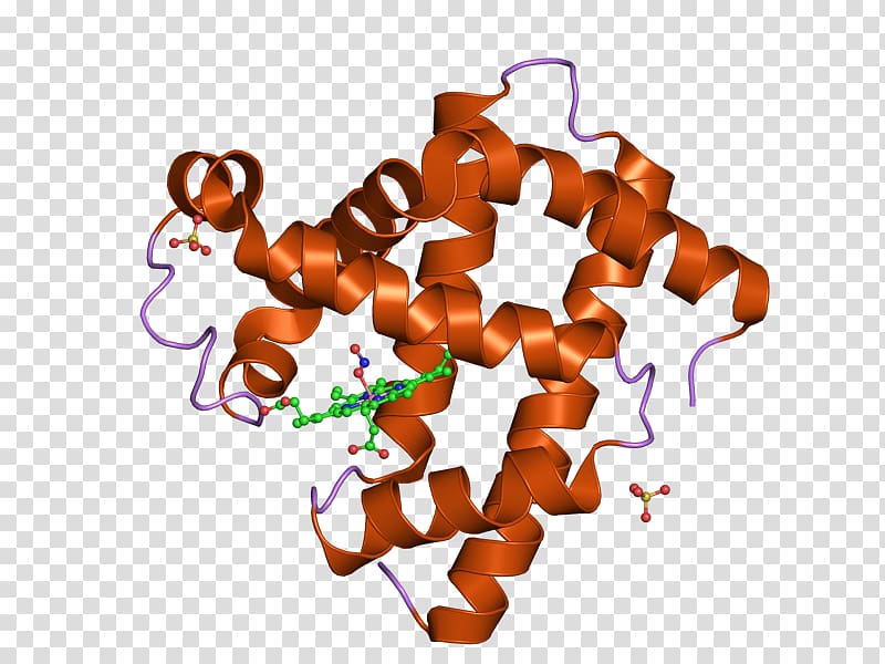 Protein Data Bank Structural biology European Bioinformatics Institute Science, science transparent background PNG clipart