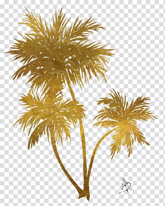 Asian palmyra palm Arecaceae Gold Painting Art, gold transparent background PNG clipart