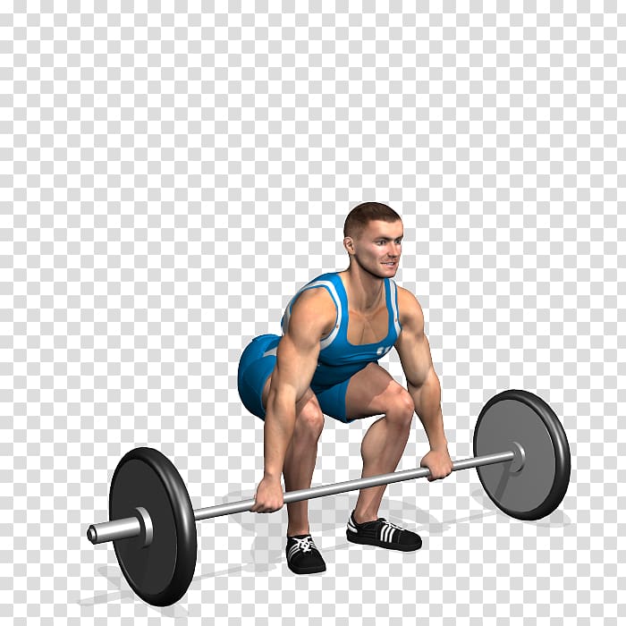 Barbell Weight training Physical exercise Muscle Physical fitness, barbell transparent background PNG clipart