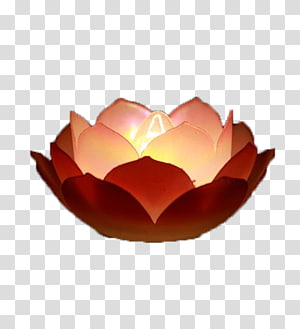 lotus lantern healing arts