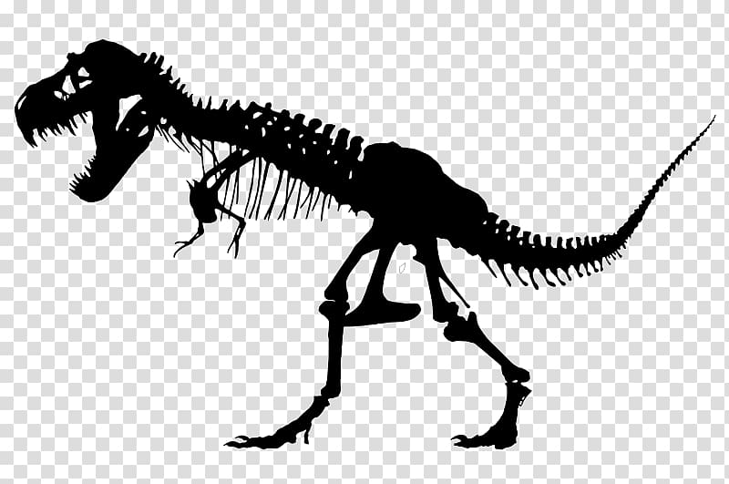 Specimens of Tyrannosaurus Skeleton Sue Triceratops, tyrannosaurus rex transparent background PNG clipart