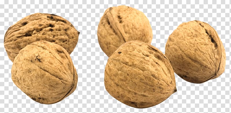 English walnut , walnut transparent background PNG clipart