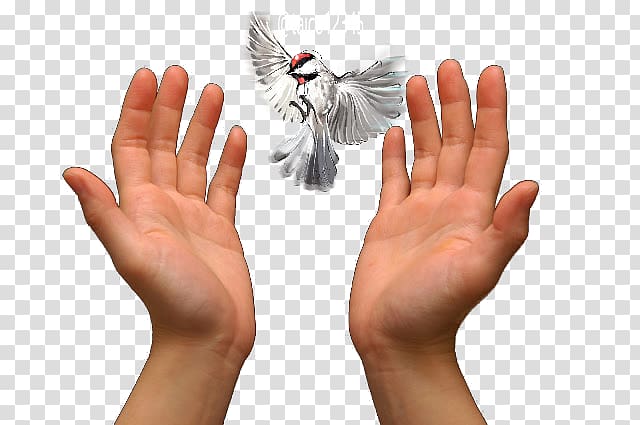 Praying Hands Prayer Love, others transparent background PNG clipart