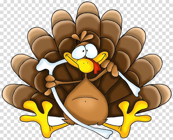 Thanksgiving Holiday Turkey , Thanksgiving transparent background PNG clipart