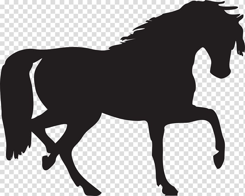 Horse Silhouette , Black horse siluete transparent background PNG clipart