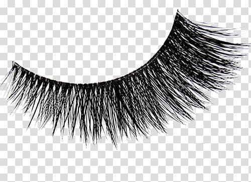 single dense row of eyelashes eyelash grafting transparent background PNG clipart