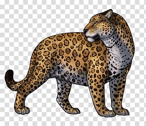 Jaguar transparent background PNG clipart