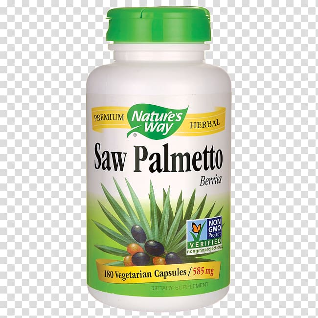 Dietary supplement Saw palmetto extract Vegetarian cuisine Capsule, Saw Palmetto transparent background PNG clipart