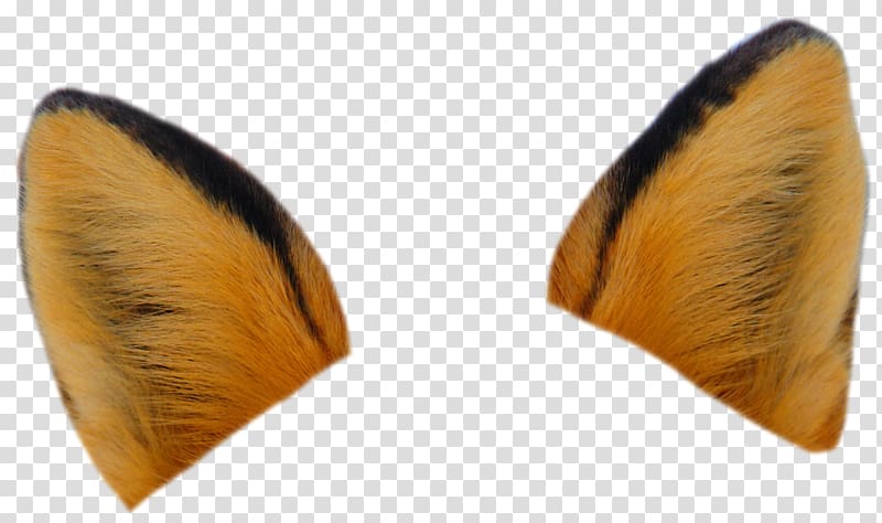 Red fox Ear Drawing Tail, fennec fox transparent background PNG clipart