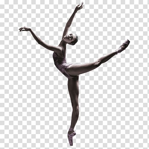 Performing arts Dance The arts, ballerinas transparent background PNG clipart