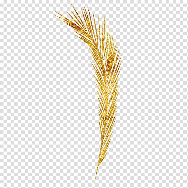 Emmer Pattern, Wheat transparent background PNG clipart