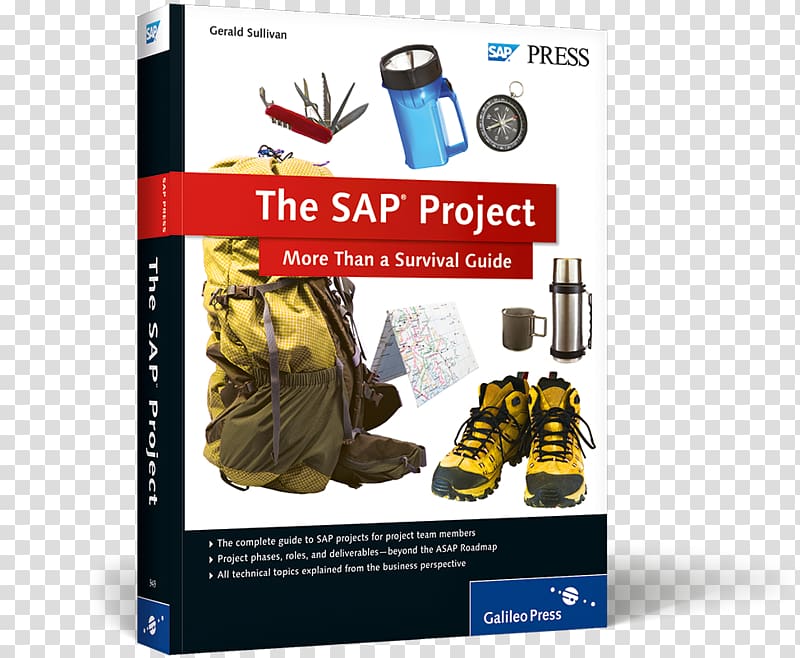 The SAP Project: More Than a Survival Guide Surviving an SAP Audit Project management Project team, Westward Journey Online II transparent background PNG clipart