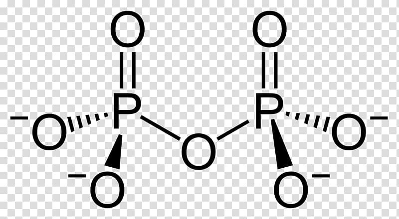 Chemical compound Organophosphorus compound Organophosphate Organic compound Formaldehyde, others transparent background PNG clipart