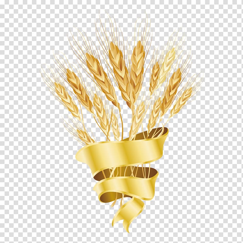 Common wheat Rice Cereal, Creative rice transparent background PNG clipart