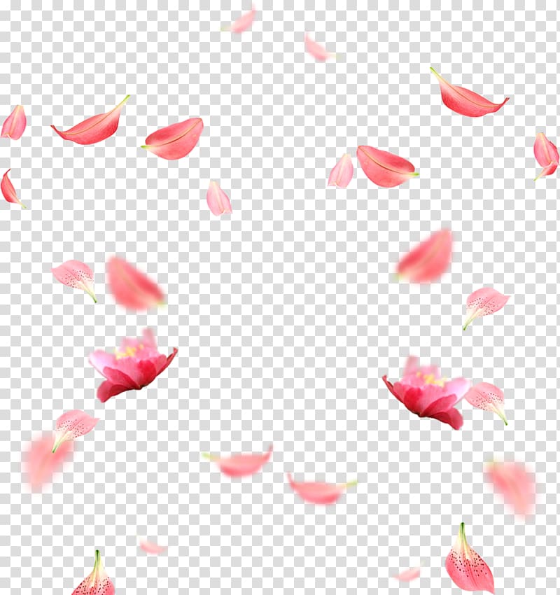 pink flowers, Petal RGB color model , Cherry blossom petals material transparent background PNG clipart