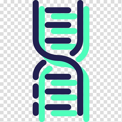 DNA Molecular Structure of Nucleic Acids: A Structure for Deoxyribose Nucleic Acid Science Technology Medical biology, science transparent background PNG clipart