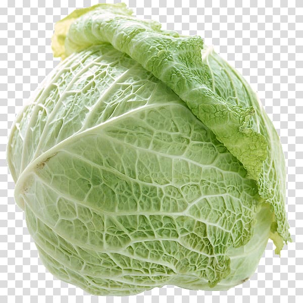 Cabbage Cruciferous vegetables Food, cabbage transparent background PNG clipart