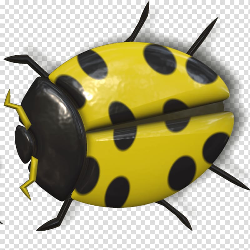 black and yellow ladybug beetle illustration, Ladybug Yellow and Black transparent background PNG clipart