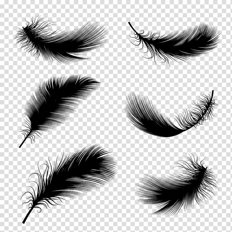 Bird Feather Drawing Illustration, Floating feather transparent background PNG clipart