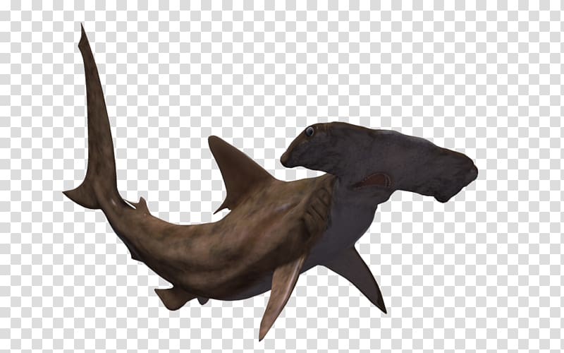 Hammerhead shark Great hammerhead Animal, sharks transparent background PNG clipart