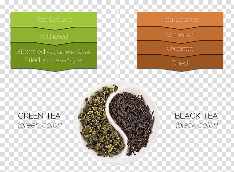 Green tea Tea leaf grading Oolong White tea, tea leaves transparent background PNG clipart
