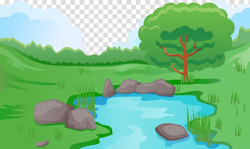 Pond Illustration, Forest transparent background PNG clipart