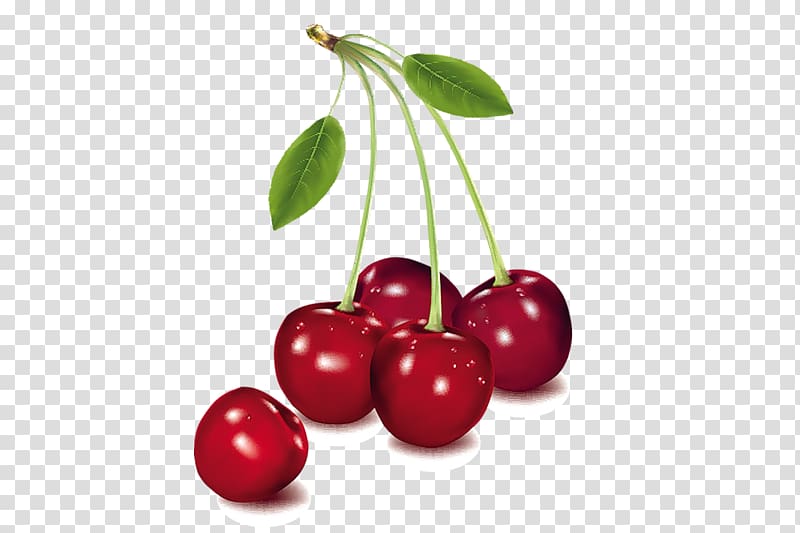 Cordial Barbados Cherry , cherry transparent background PNG clipart