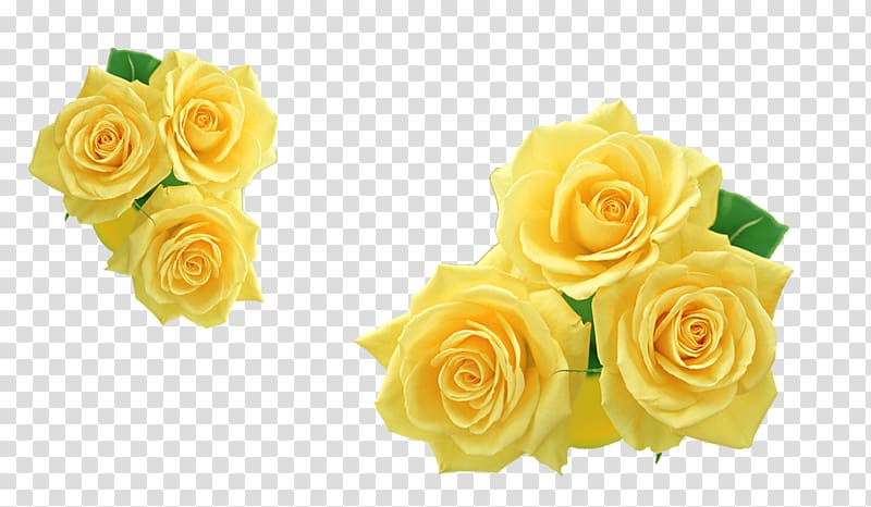 Rose Yellow Flower , Yellow Rose transparent background PNG clipart
