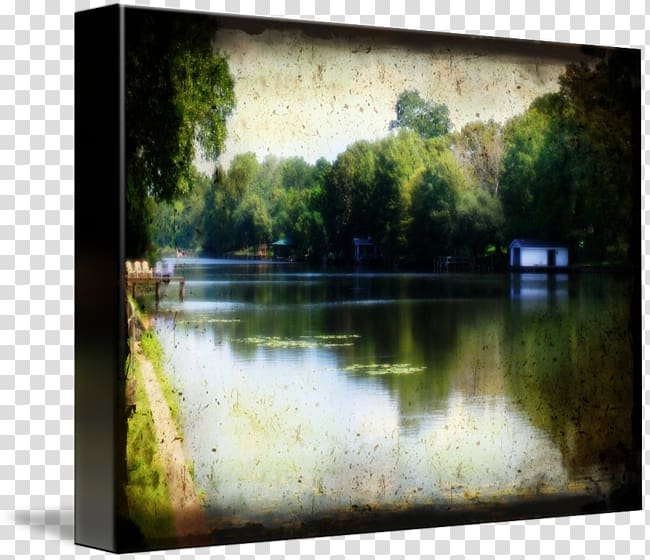 Bayou Water resources Painting Frames Water feature, painting transparent background PNG clipart