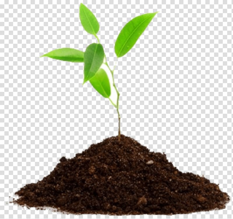 Seedling Soil Cannabis sativa Medicinal plants, Ground soil transparent background PNG clipart