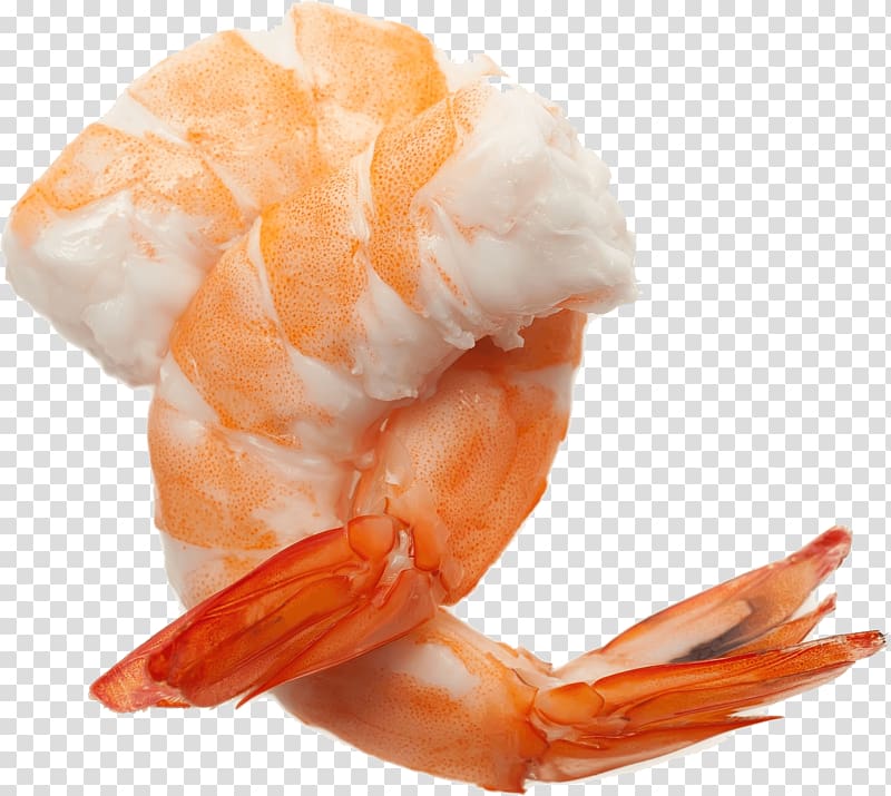 Prawn cocktail Caridea Shrimp , Shrimp transparent background PNG clipart