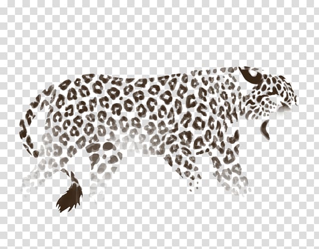 Snow leopard Jaguar Cheetah Lion, leopard transparent background PNG clipart