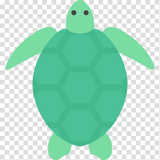 Green sea turtle Green sea turtle Cheloniidae Tortoise, turtle transparent background PNG clipart