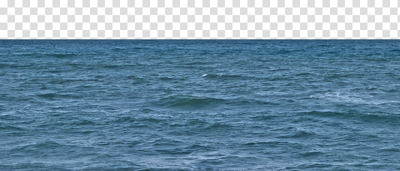 Cetacea Porpoise Sea Inlet Water resources, Sea sea transparent background PNG clipart