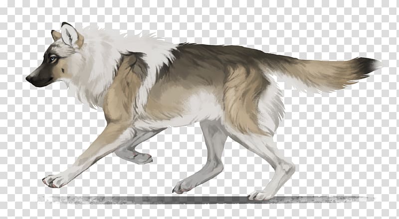 Czechoslovakian Wolfdog Siberian Husky Tamaskan Dog Canadian Eskimo Dog Saarloos wolfdog, others transparent background PNG clipart