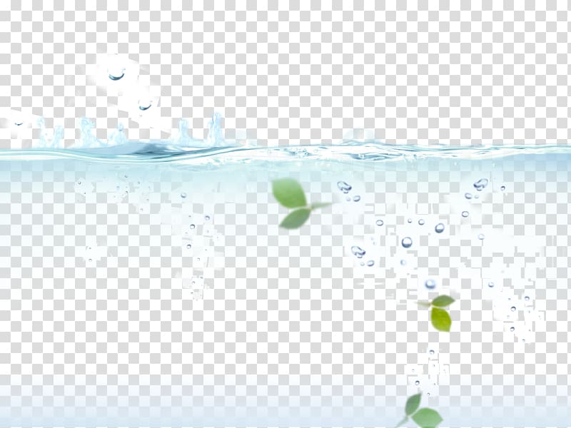green elaf, water transparent background PNG clipart