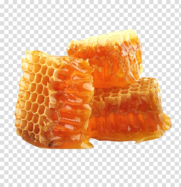 Beeswax Atakiuoti dangteliai Honey, bee transparent background PNG clipart