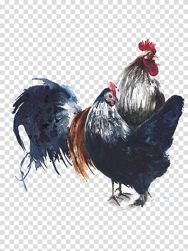Rooster Chicken Bird Watercolor painting Illustration, Big black cock transparent background PNG clipart