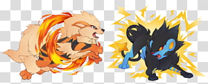 Lion Pokémon Diamond and Pearl Arcanine Growlithe Luxray, Gunpowder Plot transparent background PNG clipart thumbnail
