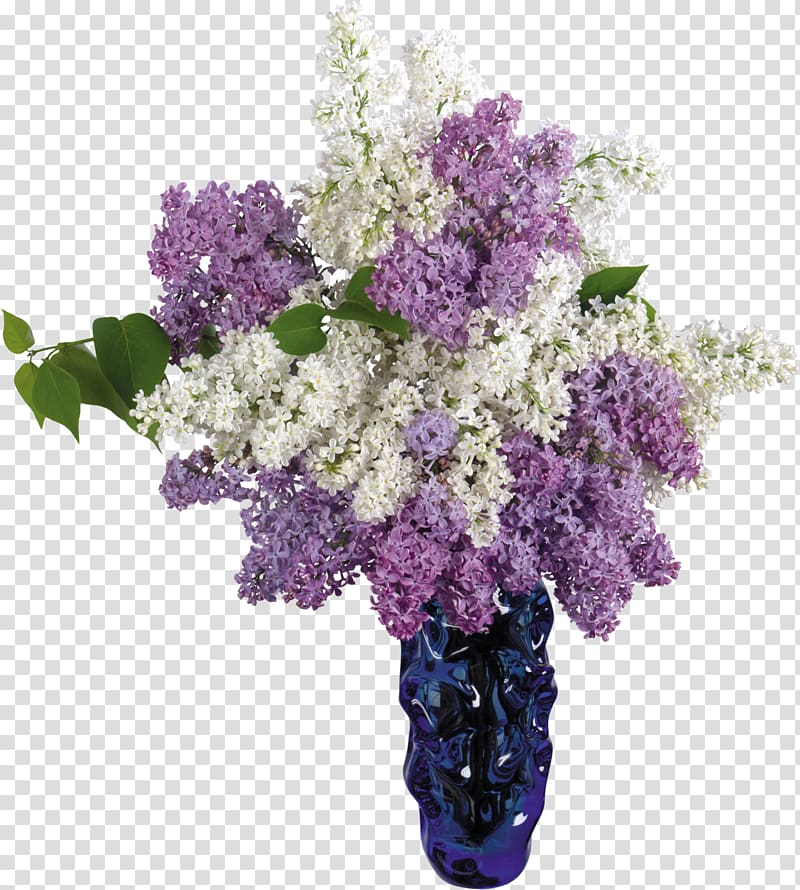 Common lilac Flower Vase Desktop , lilac transparent background PNG clipart