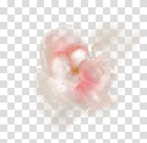 Petal Pink M, others transparent background PNG clipart thumbnail
