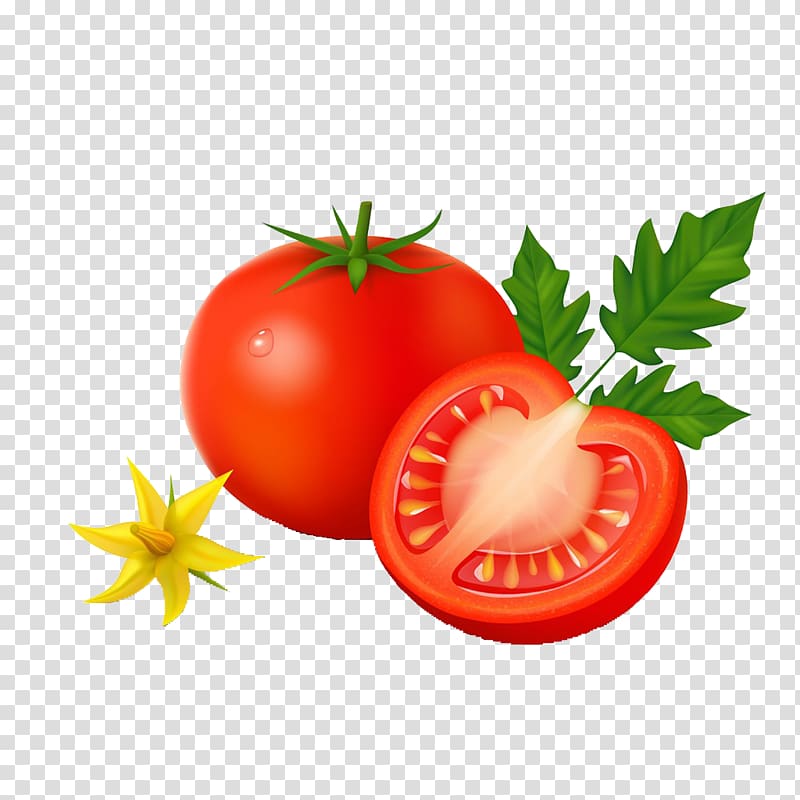 Vegetable Tomato Potato Cartoon, tomato transparent background PNG clipart
