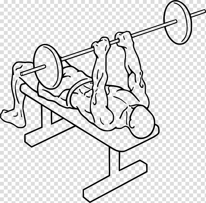 Bench press Lying triceps extensions Triceps brachii muscle Exercise, bench Press transparent background PNG clipart