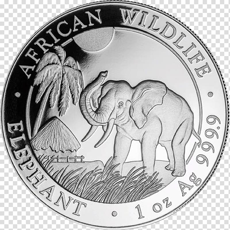 Silver coin Silver coin Indian elephant Somalia, nigerian currency elephant transparent background PNG clipart