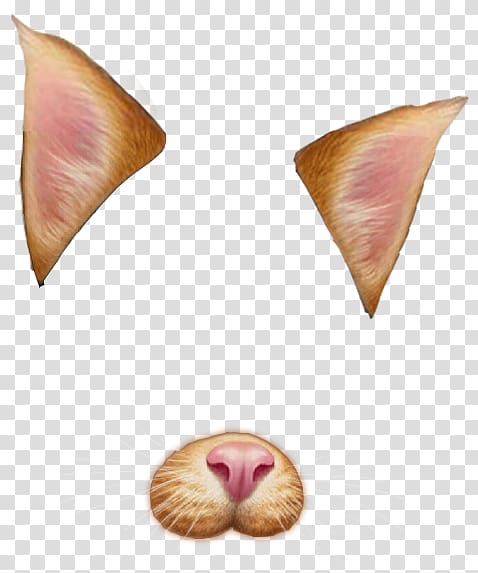 Cat graphic filter , Cat transparent background PNG clipart