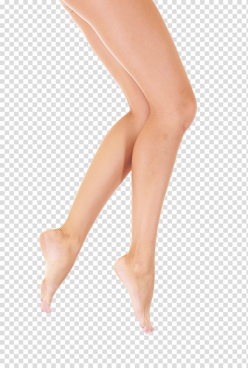 Legs transparent background PNG clipart